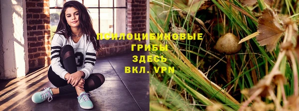Альфа ПВП Абинск