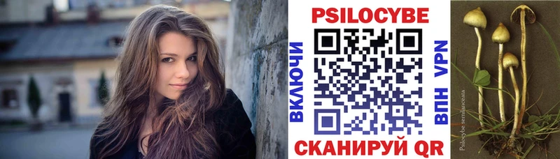 Псилоцибиновые грибы Psilocybe  площадка состав  Ялуторовск 